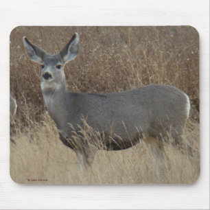 D14 Mule Deer Doe Mouse Mat