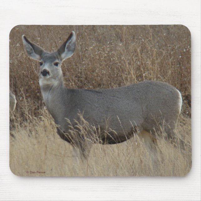 D14 Mule Deer Doe Mouse Mat (Front)