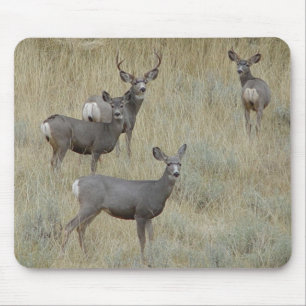 D18 Mule Deer Mouse Mat