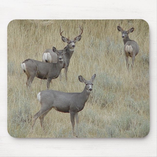 D18 Mule Deer Mouse Mat (Front)