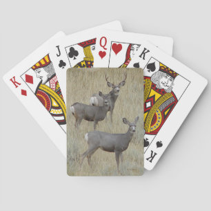 D18 Mule Deer Playing Cards