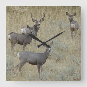 D18 Mule Deer Square Wall Clock