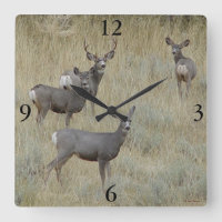 D18 Mule Deer