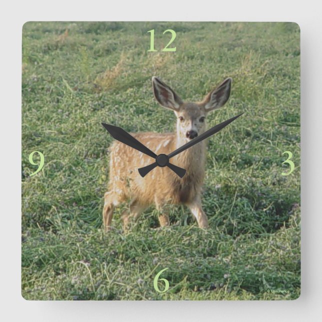 D19 Mule Deer Fawn in Alfapha Field Square Wall Clock (Front)