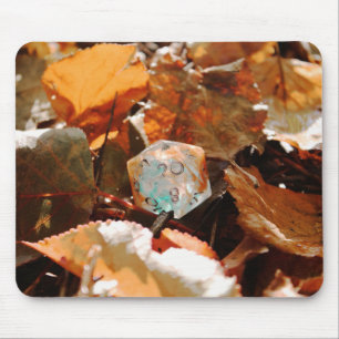 D20 Dice In Autumn Coloured Leaves Mouse Mat