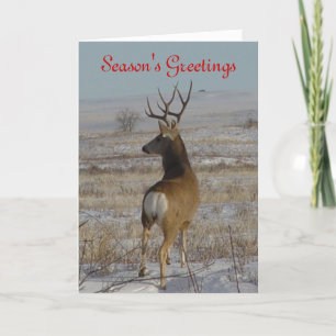 D20 Mule Deer Buck in the Snow Holiday Card
