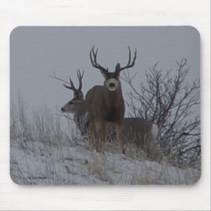 D21b Mule Deer Bucks Mouse Mat