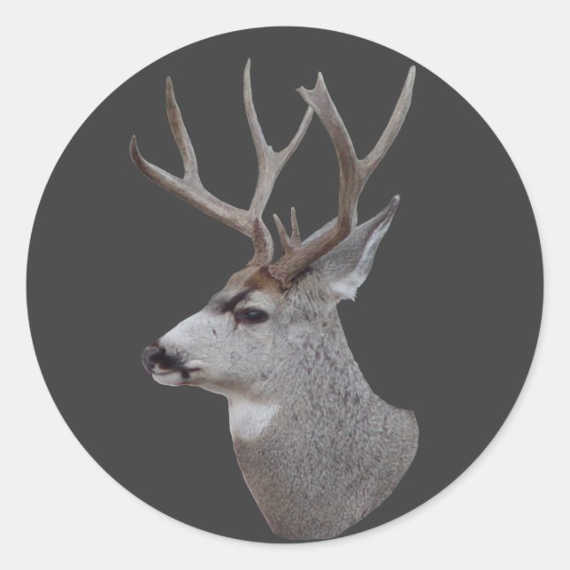 D27 Mule Deer Buck Head Classic Round Sticker (Front)