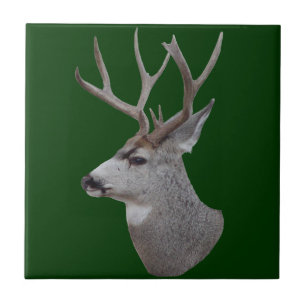 D27 Mule Deer Buck Head Tile