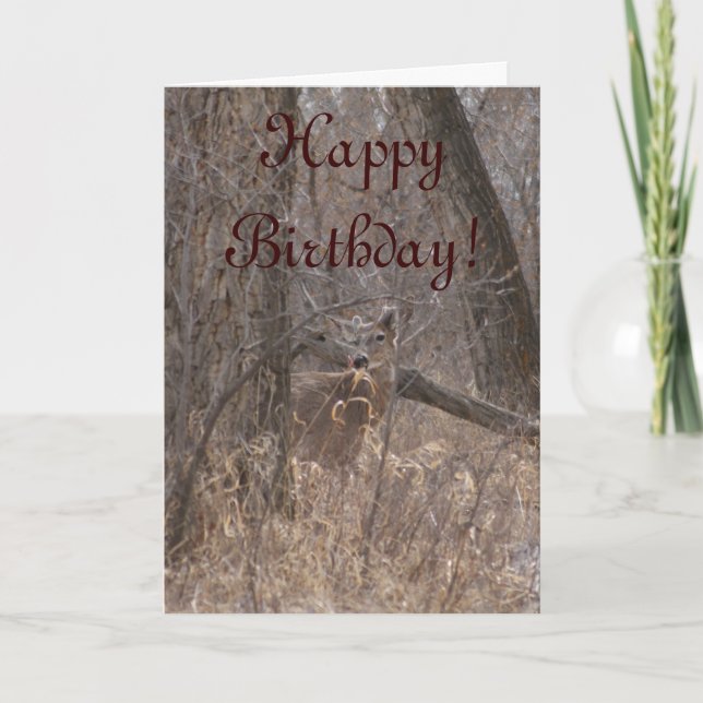 D2 White-tailed Deer in Cottonwood Trees Card (Front)