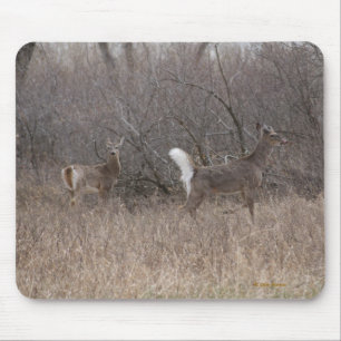 D2 White-tailed Deer in Cottonwood Trees Mouse Mat