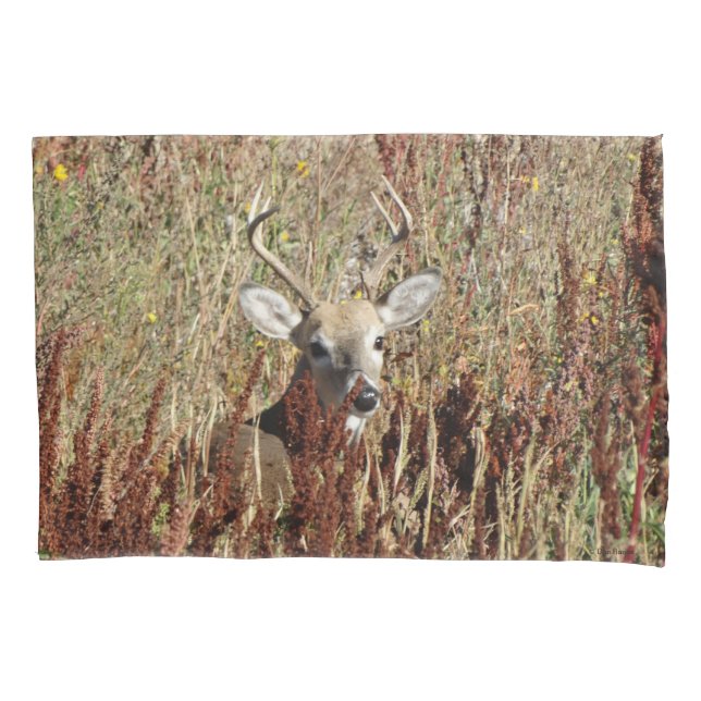 D31 White-tailed Deer in the Weeds Pillowcase (Front)