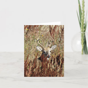 D31 White-Thai Deer in the Weeds Holiday Card