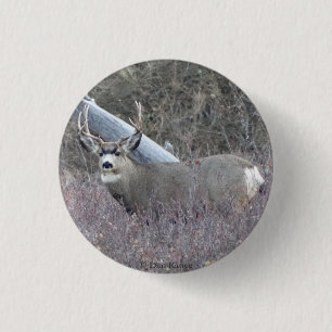 D32 Mule Deer Buck 3 Cm Round Badge