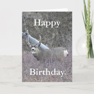 D32 Mule Deer Buck Holiday Card