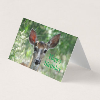 D33 White-tailed Deer Doe birthday card