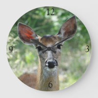 D33 White-tailed Deer Doe