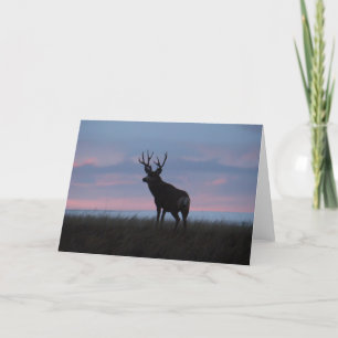 D3 Mule Deer Buck Sunrise Buck Card