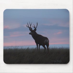 D3 Mule Deer Buck Sunrise Buck Mouse Mat