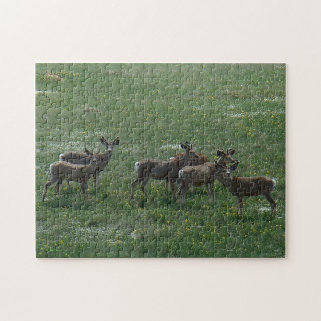 D7 Mule Deer Spring Bucks Jigsaw Puzzle (Horizontal)