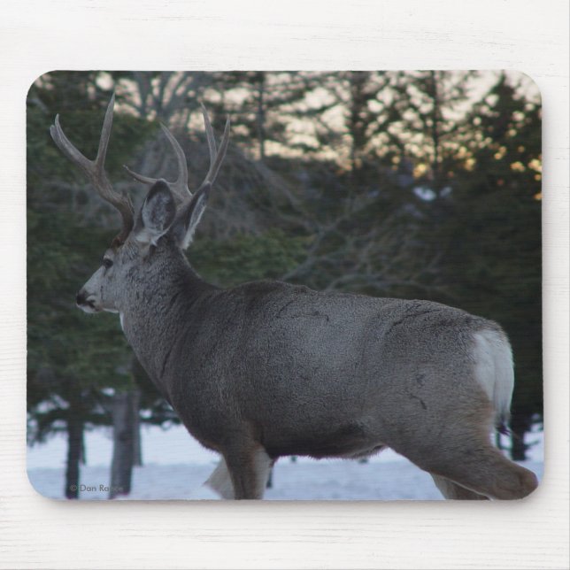 D8 Mule Deer Buck Mouse Mat (Front)