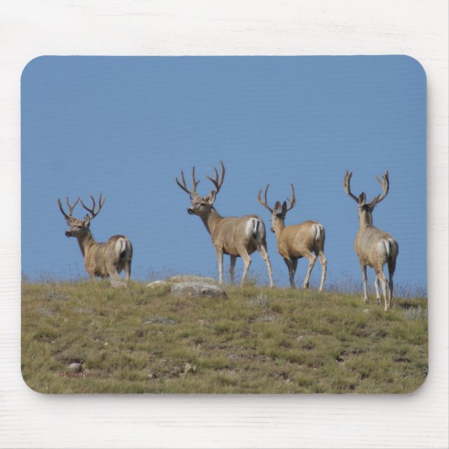 D9 Mule Deer Bucks in Velvet Mouse Mat (Front)