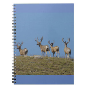 D9 Mule Deer Bucks in Velvet Skylined Notebook
