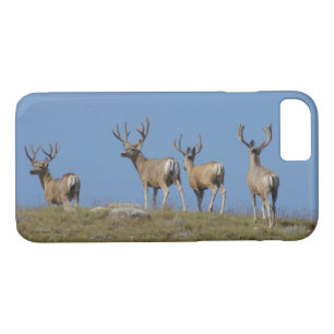 D9 Mule Deer in Velvet iPhone 8/7 Case