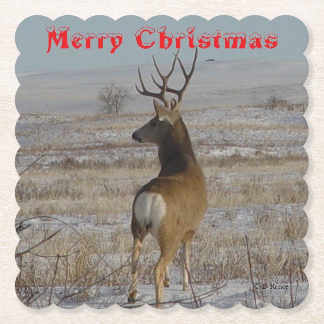 D 20 Mule Deer Buck in Snow Coaster (Front)