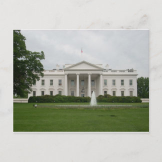D.C. white house Postcard