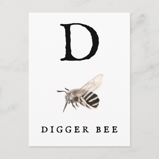 "D" Digger Bee Postcard (Front)