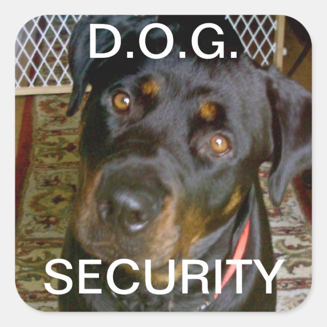 D.O.G. SECURITY Sticker (rottweiler) (Front)