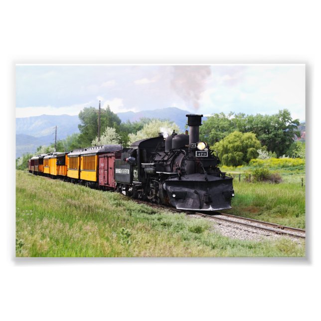 D&SNGR Engineer Checks Track Photo Print (Front)