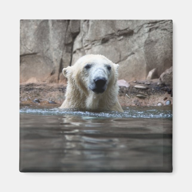 Da bear magnet (Front)