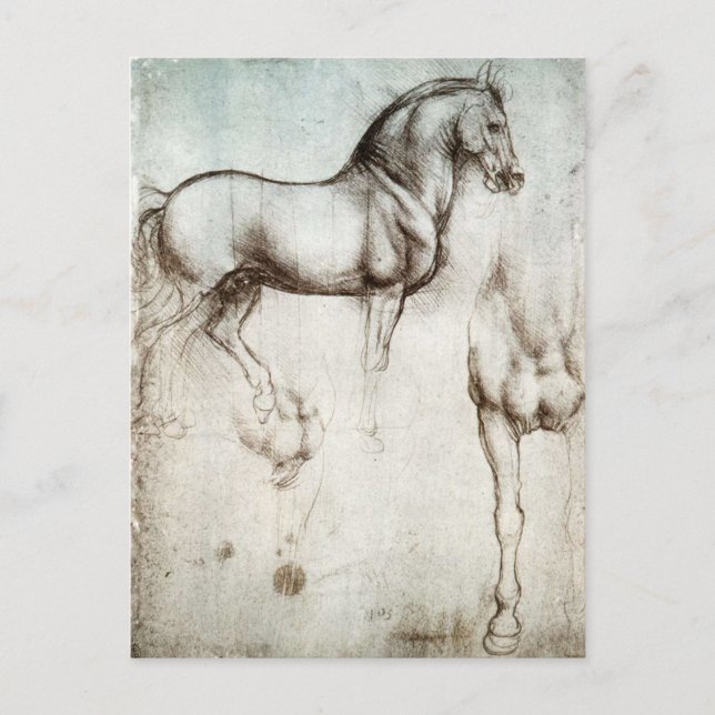 Da Vinci Horse Postcard (Front)