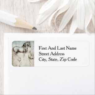 Da Vinci Horse Study Renaissance Sketch Fine Art