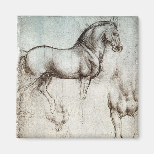 Da Vinci Horse Study Renaissance Sketch Fine Art Magnet (Front)