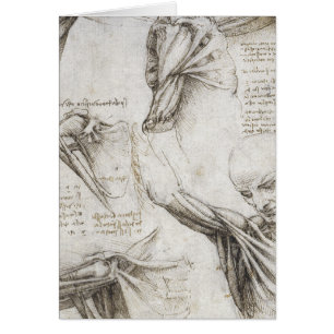 Da Vinci, Leonardo - Study of Anatomy