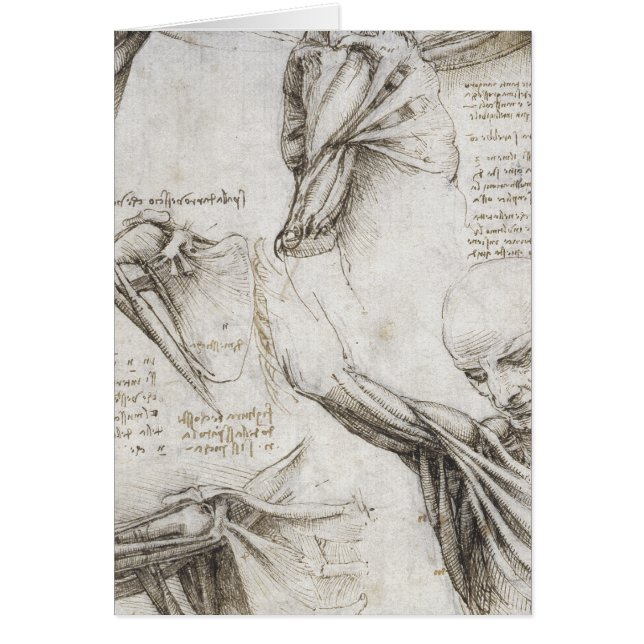 Da Vinci, Leonardo - Study of Anatomy (Front)