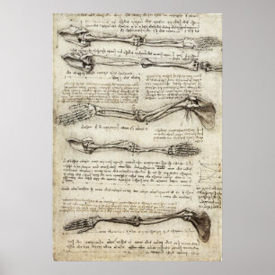 Da Vinci, Leonardo - Study of Anatomy Poster