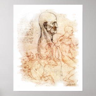 da Vinci - Man and Horse Poster
