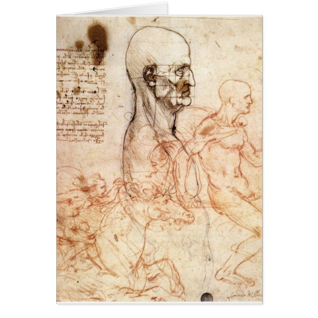 da Vinci -- Man and Horse Sketch (Front)