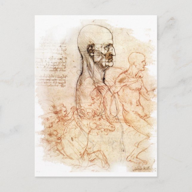 da Vinci -- Man and Horse Sketch Postcard (Front)