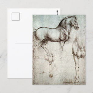 Da Vinci Study of a Horse Renaissance Fine Art  Postcard