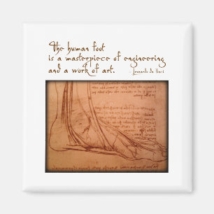 da Vinci: "The human foot is..." Magnet