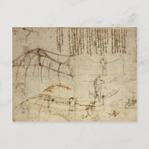 Da Vinci's Flying Contraption Postcard