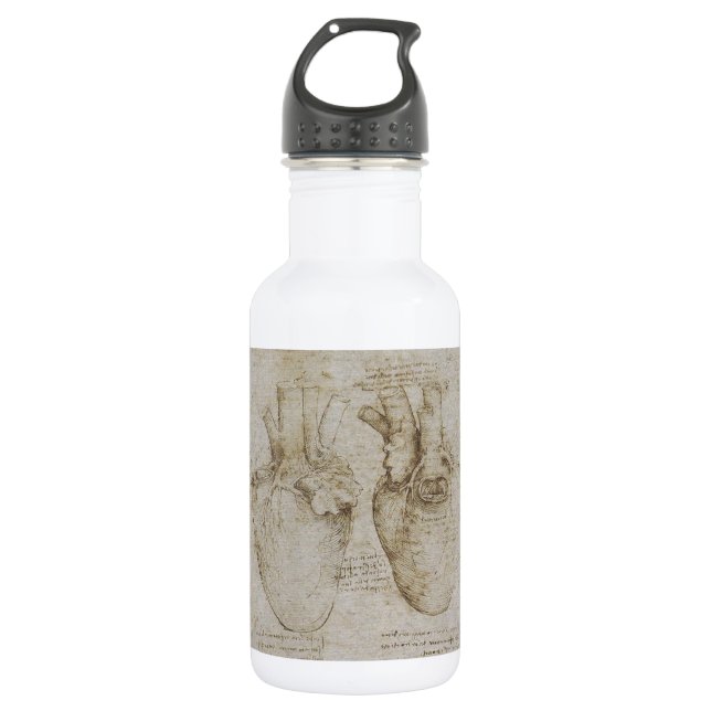 Da Vinci's Human Heart Anatomy Sketches 532 Ml Water Bottle (Front)