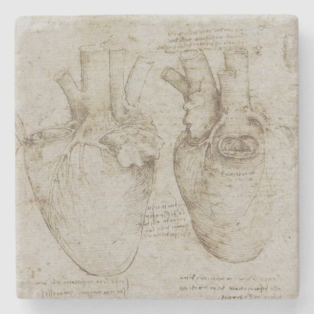 Da Vinci's Human Heart Anatomy Stone Coaster (Front)