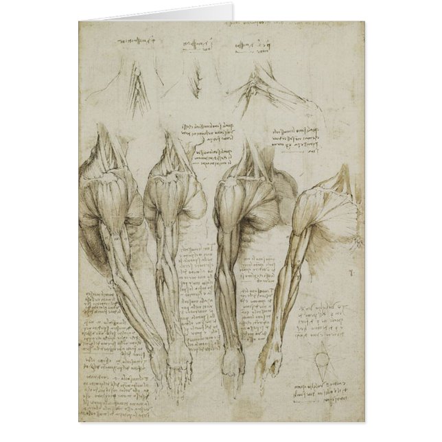 Da Vinci's Human Skeleton Anatomy Sketches (Front)