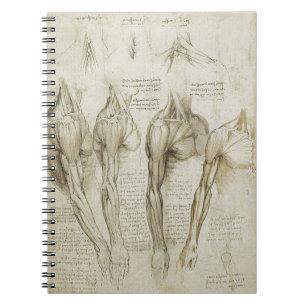 Da Vinci's Human Skeleton Anatomy Sketches Notebook